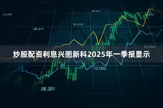 炒股配资利息兴图新科2025年一季报显示