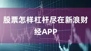 股票怎样杠杆尽在新浪财经APP