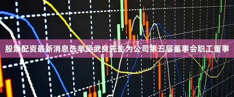 股票配资最新消息选举吴武良先生为公司第五届董事会职工董事