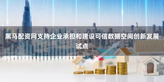 黑马配资网支持企业承担和建设可信数据空间创新发展试点